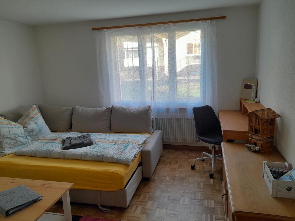 2 1/2 Zimmer Ferienwohnung Meiringen Exterior foto